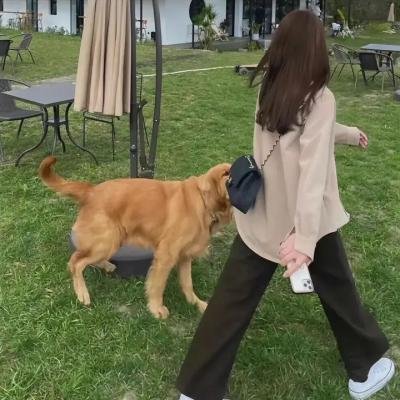 摩天楼